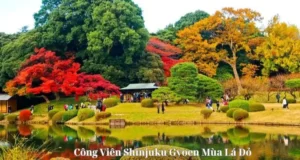 Công Viên Shinjuku Gyoen Mùa Lá Đỏ: Hướng Dẫn Du Lịch Và Những Điều Cần Biết