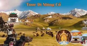 Tour Đi Mông Cổ: Điểm Đến Đầy Hấp Dẫn